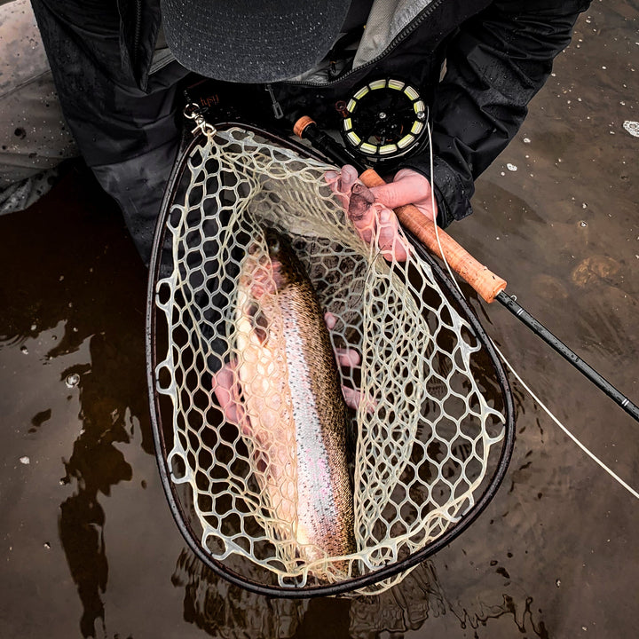 Core Trout – Recast Fly Fishing