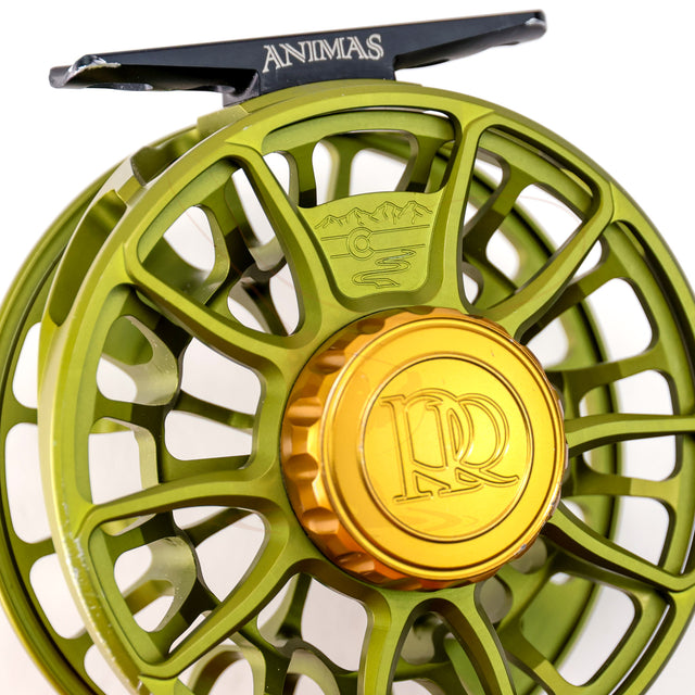 Ross Animas 5-6 in Great condition